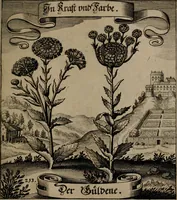 An illustration from Der Fruchtbringenden Geselschaft Nahmen, Vorhaben, Gemählde und Wörter : nach jedes Einnahme ordentlich in Kupfer gestochen, und in achtzeilige Reimgesetze verfasset (1646)