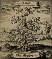 An illustration from Der Fruchtbringenden Geselschaft Nahmen, Vorhaben, Gemählde und Wörter : nach jedes Einnahme ordentlich in Kupfer gestochen, und in achtzeilige Reimgesetze verfasset (1646)