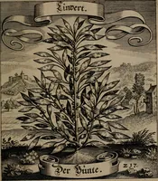 An illustration from Der Fruchtbringenden Geselschaft Nahmen, Vorhaben, Gemählde und Wörter : nach jedes Einnahme ordentlich in Kupfer gestochen, und in achtzeilige Reimgesetze verfasset (1646)
