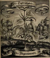 An illustration from Der Fruchtbringenden Geselschaft Nahmen, Vorhaben, Gemählde und Wörter : nach jedes Einnahme ordentlich in Kupfer gestochen, und in achtzeilige Reimgesetze verfasset (1646)