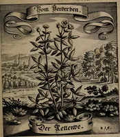 An illustration from Der Fruchtbringenden Geselschaft Nahmen, Vorhaben, Gemählde und Wörter : nach jedes Einnahme ordentlich in Kupfer gestochen, und in achtzeilige Reimgesetze verfasset (1646)