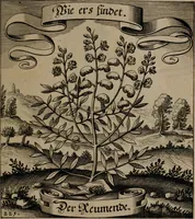An illustration from Der Fruchtbringenden Geselschaft Nahmen, Vorhaben, Gemählde und Wörter : nach jedes Einnahme ordentlich in Kupfer gestochen, und in achtzeilige Reimgesetze verfasset (1646)