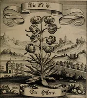 An illustration from Der Fruchtbringenden Geselschaft Nahmen, Vorhaben, Gemählde und Wörter : nach jedes Einnahme ordentlich in Kupfer gestochen, und in achtzeilige Reimgesetze verfasset (1646)