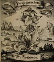 An illustration from Der Fruchtbringenden Geselschaft Nahmen, Vorhaben, Gemählde und Wörter : nach jedes Einnahme ordentlich in Kupfer gestochen, und in achtzeilige Reimgesetze verfasset (1646)