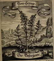 An illustration from Der Fruchtbringenden Geselschaft Nahmen, Vorhaben, Gemählde und Wörter : nach jedes Einnahme ordentlich in Kupfer gestochen, und in achtzeilige Reimgesetze verfasset (1646)