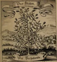 An illustration from Der Fruchtbringenden Geselschaft Nahmen, Vorhaben, Gemählde und Wörter : nach jedes Einnahme ordentlich in Kupfer gestochen, und in achtzeilige Reimgesetze verfasset (1646)