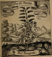 An illustration from Der Fruchtbringenden Geselschaft Nahmen, Vorhaben, Gemählde und Wörter : nach jedes Einnahme ordentlich in Kupfer gestochen, und in achtzeilige Reimgesetze verfasset (1646)
