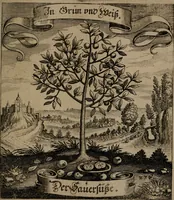 An illustration from Der Fruchtbringenden Geselschaft Nahmen, Vorhaben, Gemählde und Wörter : nach jedes Einnahme ordentlich in Kupfer gestochen, und in achtzeilige Reimgesetze verfasset (1646)