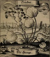 An illustration from Der Fruchtbringenden Geselschaft Nahmen, Vorhaben, Gemählde und Wörter : nach jedes Einnahme ordentlich in Kupfer gestochen, und in achtzeilige Reimgesetze verfasset (1646)