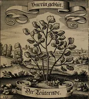 An illustration from Der Fruchtbringenden Geselschaft Nahmen, Vorhaben, Gemählde und Wörter : nach jedes Einnahme ordentlich in Kupfer gestochen, und in achtzeilige Reimgesetze verfasset (1646)