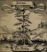 An illustration from Der Fruchtbringenden Geselschaft Nahmen, Vorhaben, Gemählde und Wörter : nach jedes Einnahme ordentlich in Kupfer gestochen, und in achtzeilige Reimgesetze verfasset (1646)