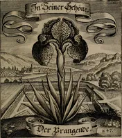An illustration from Der Fruchtbringenden Geselschaft Nahmen, Vorhaben, Gemählde und Wörter : nach jedes Einnahme ordentlich in Kupfer gestochen, und in achtzeilige Reimgesetze verfasset (1646)