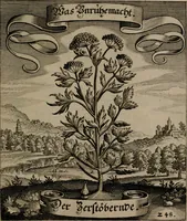 An illustration from Der Fruchtbringenden Geselschaft Nahmen, Vorhaben, Gemählde und Wörter : nach jedes Einnahme ordentlich in Kupfer gestochen, und in achtzeilige Reimgesetze verfasset (1646)