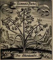 An illustration from Der Fruchtbringenden Geselschaft Nahmen, Vorhaben, Gemählde und Wörter : nach jedes Einnahme ordentlich in Kupfer gestochen, und in achtzeilige Reimgesetze verfasset (1646)