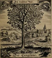 An illustration from Der Fruchtbringenden Geselschaft Nahmen, Vorhaben, Gemählde und Wörter : nach jedes Einnahme ordentlich in Kupfer gestochen, und in achtzeilige Reimgesetze verfasset (1646)