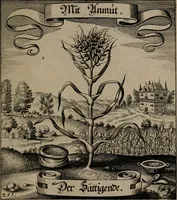 An illustration from Der Fruchtbringenden Geselschaft Nahmen, Vorhaben, Gemählde und Wörter : nach jedes Einnahme ordentlich in Kupfer gestochen, und in achtzeilige Reimgesetze verfasset (1646)