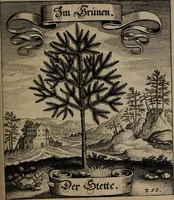 An illustration from Der Fruchtbringenden Geselschaft Nahmen, Vorhaben, Gemählde und Wörter : nach jedes Einnahme ordentlich in Kupfer gestochen, und in achtzeilige Reimgesetze verfasset (1646)