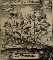 An illustration from Der Fruchtbringenden Geselschaft Nahmen, Vorhaben, Gemählde und Wörter : nach jedes Einnahme ordentlich in Kupfer gestochen, und in achtzeilige Reimgesetze verfasset (1646)