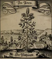An illustration from Der Fruchtbringenden Geselschaft Nahmen, Vorhaben, Gemählde und Wörter : nach jedes Einnahme ordentlich in Kupfer gestochen, und in achtzeilige Reimgesetze verfasset (1646)