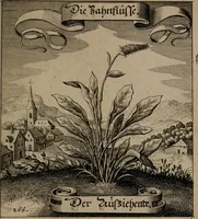 An illustration from Der Fruchtbringenden Geselschaft Nahmen, Vorhaben, Gemählde und Wörter : nach jedes Einnahme ordentlich in Kupfer gestochen, und in achtzeilige Reimgesetze verfasset (1646)