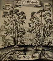 An illustration from Der Fruchtbringenden Geselschaft Nahmen, Vorhaben, Gemählde und Wörter : nach jedes Einnahme ordentlich in Kupfer gestochen, und in achtzeilige Reimgesetze verfasset (1646)