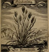 An illustration from Der Fruchtbringenden Geselschaft Nahmen, Vorhaben, Gemählde und Wörter : nach jedes Einnahme ordentlich in Kupfer gestochen, und in achtzeilige Reimgesetze verfasset (1646)