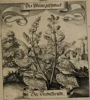 An illustration from Der Fruchtbringenden Geselschaft Nahmen, Vorhaben, Gemählde und Wörter : nach jedes Einnahme ordentlich in Kupfer gestochen, und in achtzeilige Reimgesetze verfasset (1646)