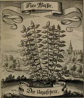 An illustration from Der Fruchtbringenden Geselschaft Nahmen, Vorhaben, Gemählde und Wörter : nach jedes Einnahme ordentlich in Kupfer gestochen, und in achtzeilige Reimgesetze verfasset (1646)