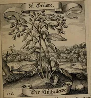 An illustration from Der Fruchtbringenden Geselschaft Nahmen, Vorhaben, Gemählde und Wörter : nach jedes Einnahme ordentlich in Kupfer gestochen, und in achtzeilige Reimgesetze verfasset (1646)