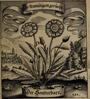 An illustration from Der Fruchtbringenden Geselschaft Nahmen, Vorhaben, Gemählde und Wörter : nach jedes Einnahme ordentlich in Kupfer gestochen, und in achtzeilige Reimgesetze verfasset (1646)
