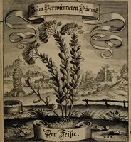 An illustration from Der Fruchtbringenden Geselschaft Nahmen, Vorhaben, Gemählde und Wörter : nach jedes Einnahme ordentlich in Kupfer gestochen, und in achtzeilige Reimgesetze verfasset (1646)
