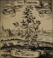 An illustration from Der Fruchtbringenden Geselschaft Nahmen, Vorhaben, Gemählde und Wörter : nach jedes Einnahme ordentlich in Kupfer gestochen, und in achtzeilige Reimgesetze verfasset (1646)