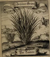 An illustration from Der Fruchtbringenden Geselschaft Nahmen, Vorhaben, Gemählde und Wörter : nach jedes Einnahme ordentlich in Kupfer gestochen, und in achtzeilige Reimgesetze verfasset (1646)
