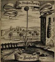 An illustration from Der Fruchtbringenden Geselschaft Nahmen, Vorhaben, Gemählde und Wörter : nach jedes Einnahme ordentlich in Kupfer gestochen, und in achtzeilige Reimgesetze verfasset (1646)