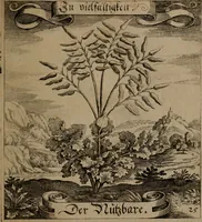 An illustration from Der Fruchtbringenden Geselschaft Nahmen, Vorhaben, Gemählde und Wörter : nach jedes Einnahme ordentlich in Kupfer gestochen, und in achtzeilige Reimgesetze verfasset (1646)