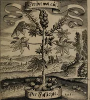 An illustration from Der Fruchtbringenden Geselschaft Nahmen, Vorhaben, Gemählde und Wörter : nach jedes Einnahme ordentlich in Kupfer gestochen, und in achtzeilige Reimgesetze verfasset (1646)