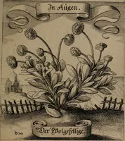 An illustration from Der Fruchtbringenden Geselschaft Nahmen, Vorhaben, Gemählde und Wörter : nach jedes Einnahme ordentlich in Kupfer gestochen, und in achtzeilige Reimgesetze verfasset (1646)