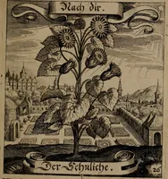 An illustration from Der Fruchtbringenden Geselschaft Nahmen, Vorhaben, Gemählde und Wörter : nach jedes Einnahme ordentlich in Kupfer gestochen, und in achtzeilige Reimgesetze verfasset (1646)
