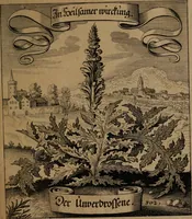 An illustration from Der Fruchtbringenden Geselschaft Nahmen, Vorhaben, Gemählde und Wörter : nach jedes Einnahme ordentlich in Kupfer gestochen, und in achtzeilige Reimgesetze verfasset (1646)