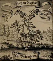 An illustration from Der Fruchtbringenden Geselschaft Nahmen, Vorhaben, Gemählde und Wörter : nach jedes Einnahme ordentlich in Kupfer gestochen, und in achtzeilige Reimgesetze verfasset (1646)