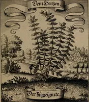 An illustration from Der Fruchtbringenden Geselschaft Nahmen, Vorhaben, Gemählde und Wörter : nach jedes Einnahme ordentlich in Kupfer gestochen, und in achtzeilige Reimgesetze verfasset (1646)