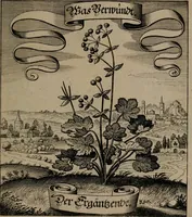 An illustration from Der Fruchtbringenden Geselschaft Nahmen, Vorhaben, Gemählde und Wörter : nach jedes Einnahme ordentlich in Kupfer gestochen, und in achtzeilige Reimgesetze verfasset (1646)