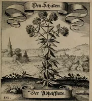 An illustration from Der Fruchtbringenden Geselschaft Nahmen, Vorhaben, Gemählde und Wörter : nach jedes Einnahme ordentlich in Kupfer gestochen, und in achtzeilige Reimgesetze verfasset (1646)