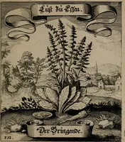 An illustration from Der Fruchtbringenden Geselschaft Nahmen, Vorhaben, Gemählde und Wörter : nach jedes Einnahme ordentlich in Kupfer gestochen, und in achtzeilige Reimgesetze verfasset (1646)