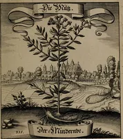 An illustration from Der Fruchtbringenden Geselschaft Nahmen, Vorhaben, Gemählde und Wörter : nach jedes Einnahme ordentlich in Kupfer gestochen, und in achtzeilige Reimgesetze verfasset (1646)
