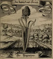 An illustration from Der Fruchtbringenden Geselschaft Nahmen, Vorhaben, Gemählde und Wörter : nach jedes Einnahme ordentlich in Kupfer gestochen, und in achtzeilige Reimgesetze verfasset (1646)