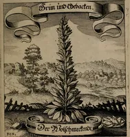 An illustration from Der Fruchtbringenden Geselschaft Nahmen, Vorhaben, Gemählde und Wörter : nach jedes Einnahme ordentlich in Kupfer gestochen, und in achtzeilige Reimgesetze verfasset (1646)