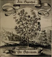 An illustration from Der Fruchtbringenden Geselschaft Nahmen, Vorhaben, Gemählde und Wörter : nach jedes Einnahme ordentlich in Kupfer gestochen, und in achtzeilige Reimgesetze verfasset (1646)