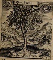 An illustration from Der Fruchtbringenden Geselschaft Nahmen, Vorhaben, Gemählde und Wörter : nach jedes Einnahme ordentlich in Kupfer gestochen, und in achtzeilige Reimgesetze verfasset (1646)