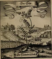 An illustration from Der Fruchtbringenden Geselschaft Nahmen, Vorhaben, Gemählde und Wörter : nach jedes Einnahme ordentlich in Kupfer gestochen, und in achtzeilige Reimgesetze verfasset (1646)
